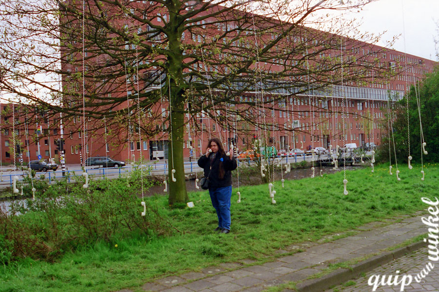 'Telefoon boom' 1999 Westerpark